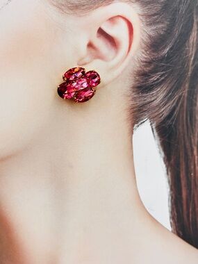 Roxanne Assoulin The Crystal Cluster Clip Earrings Watermelon Spritz